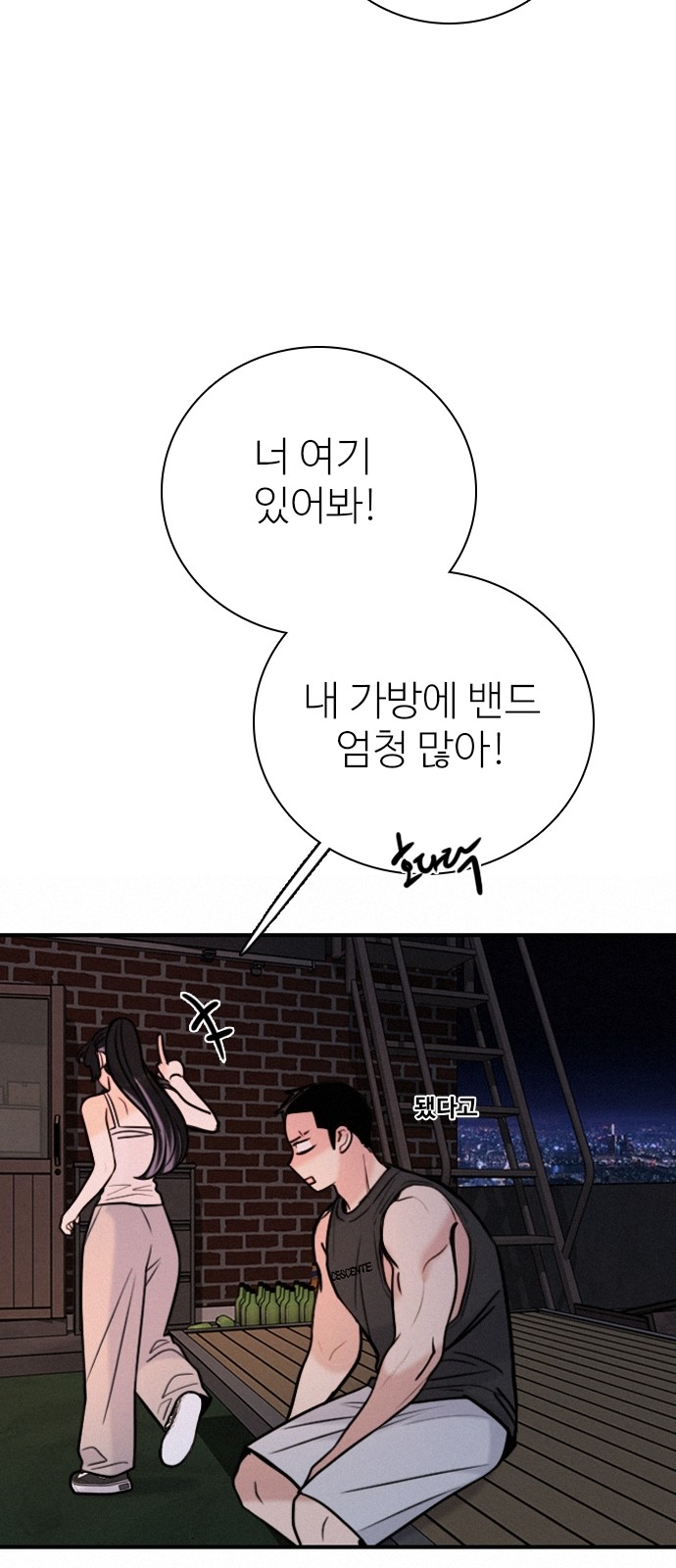 20 페이지