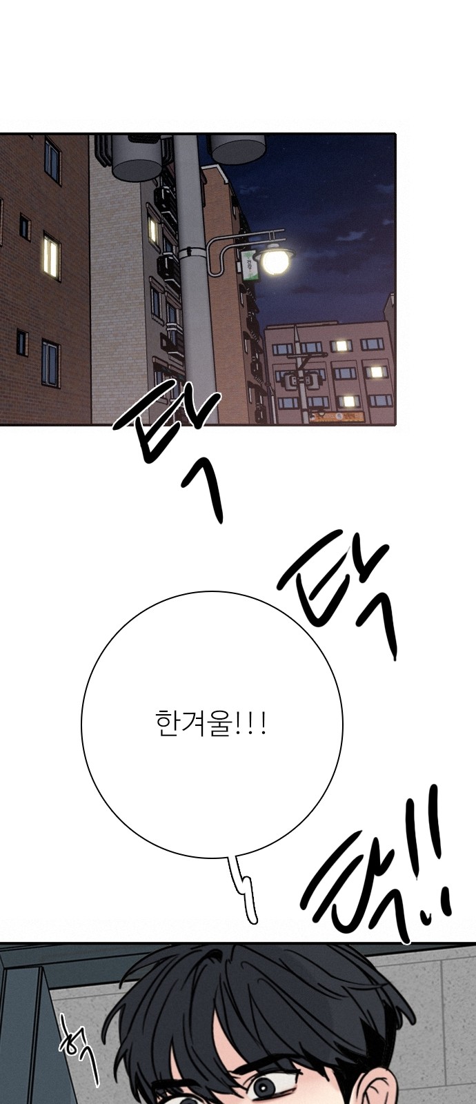 75 페이지