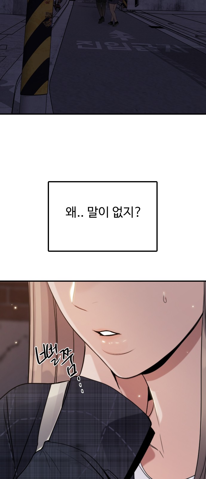 48 페이지