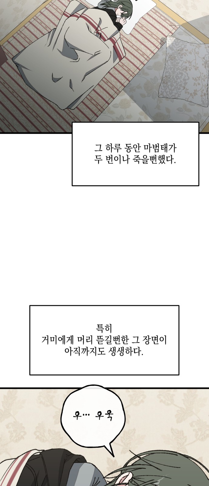 39 페이지