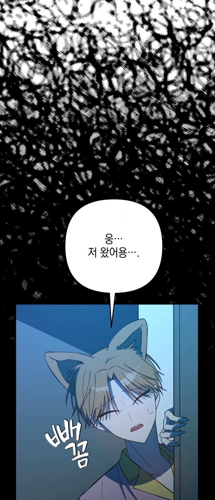 81 페이지