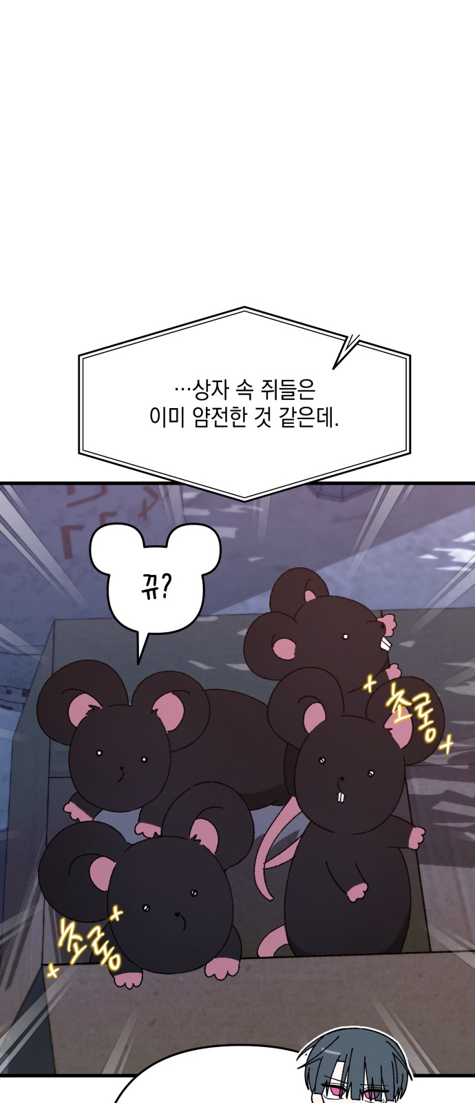 44 페이지