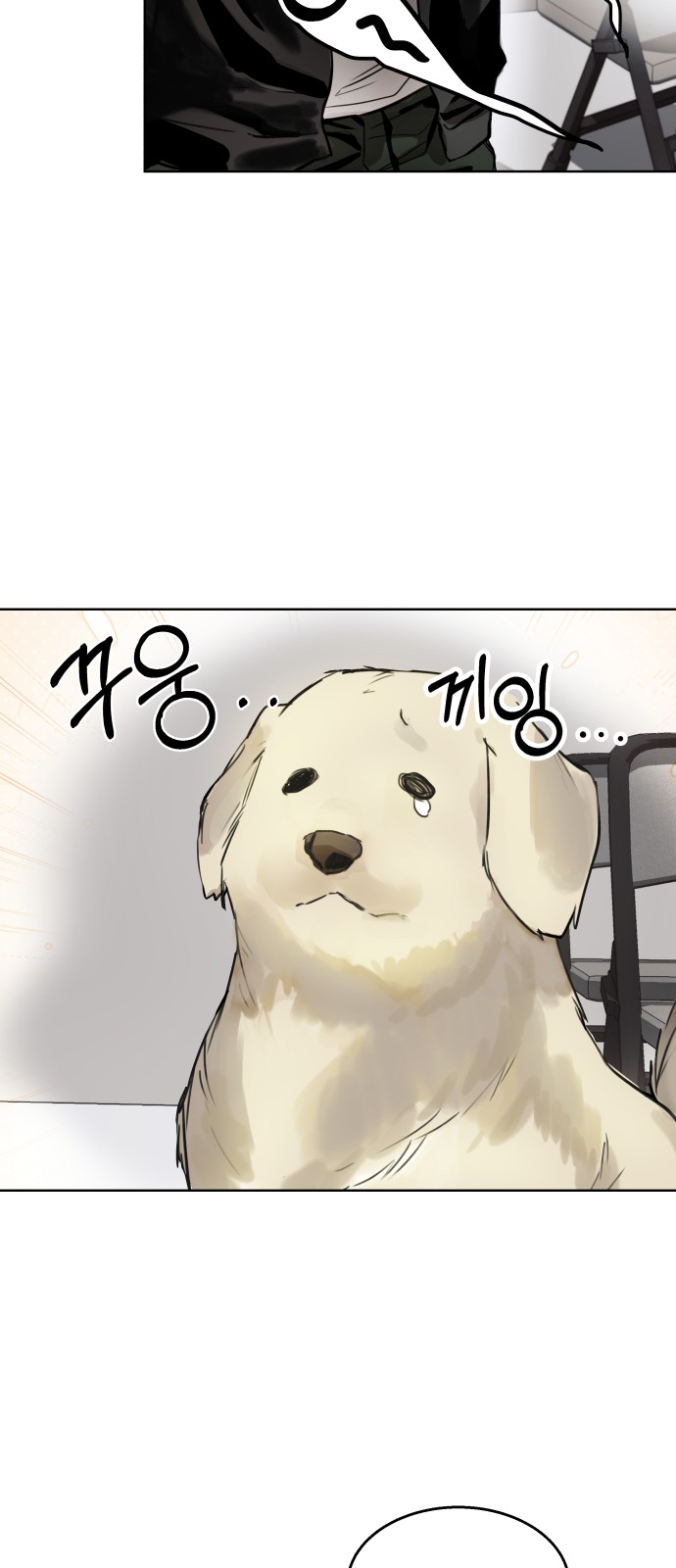47 페이지