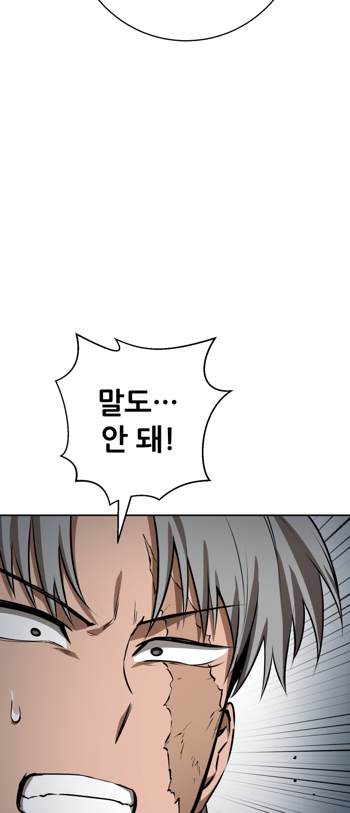 100 페이지