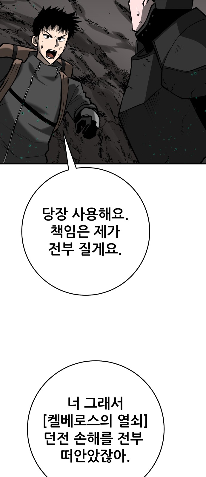 66 페이지