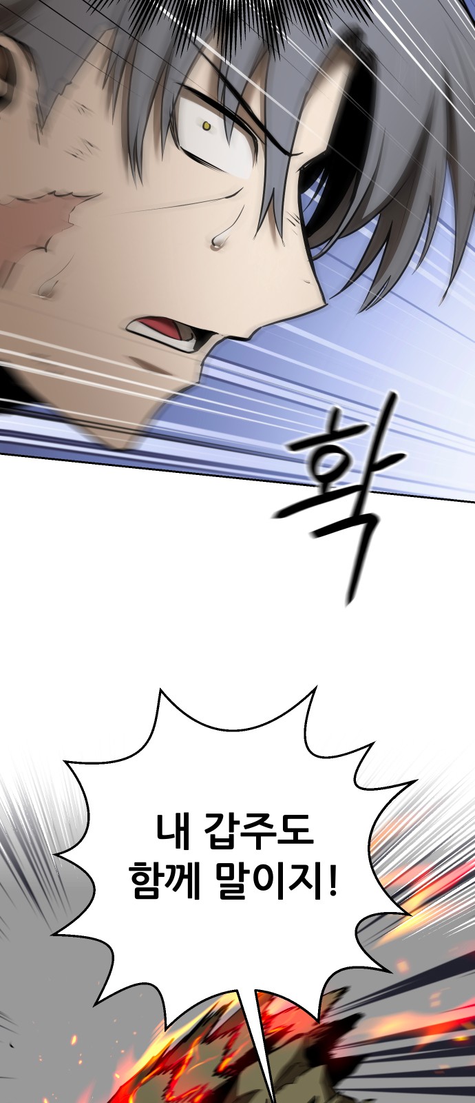 67 페이지