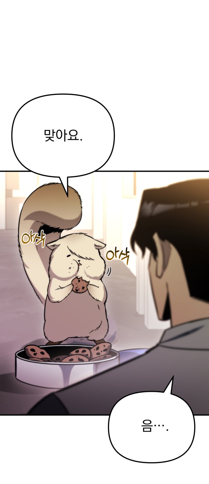 41 페이지