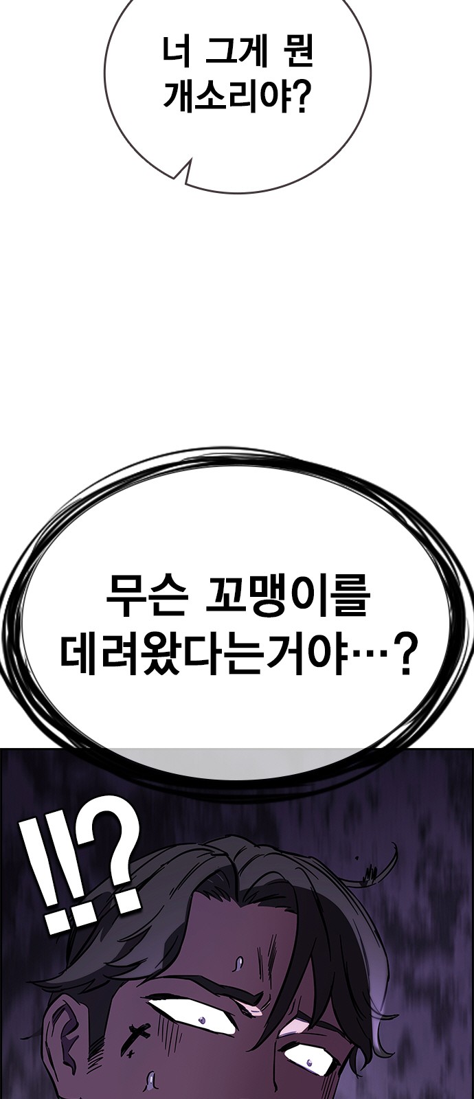 113 페이지