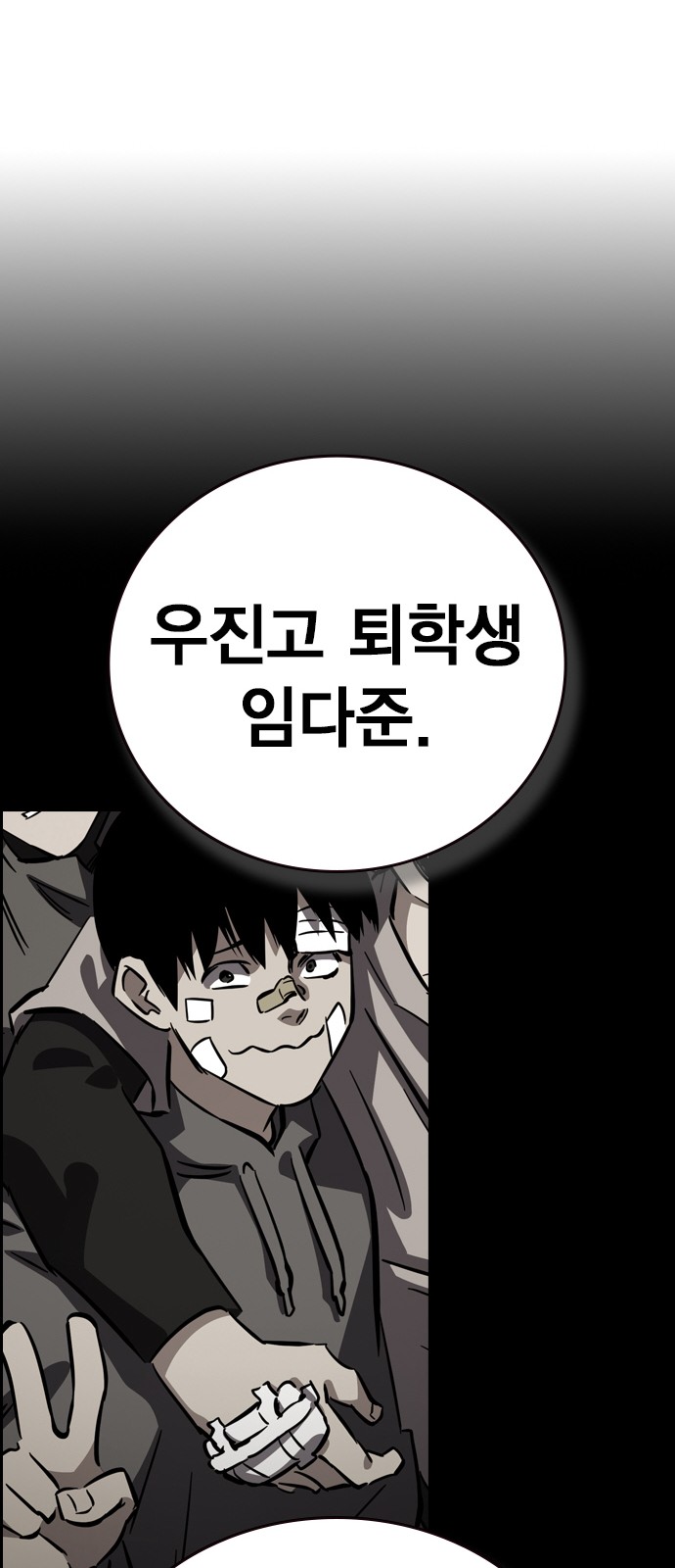 86 페이지