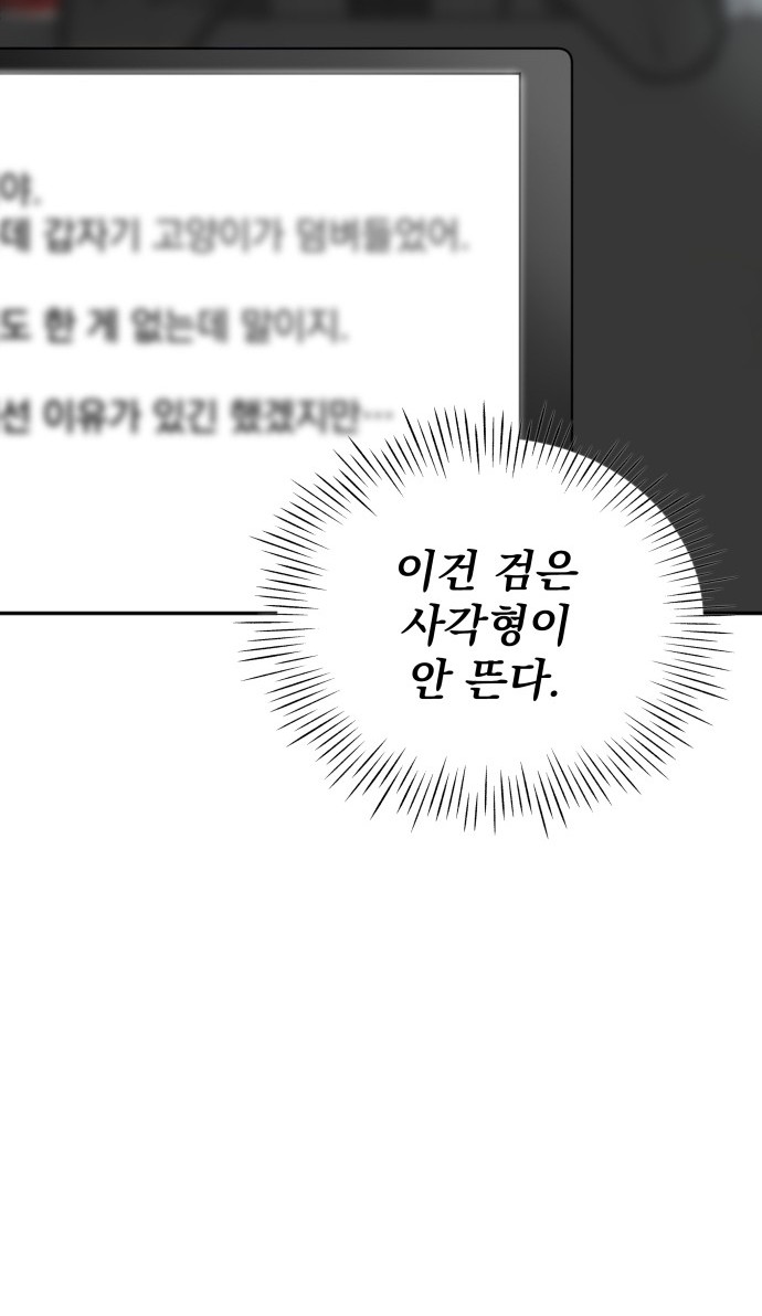 153 페이지