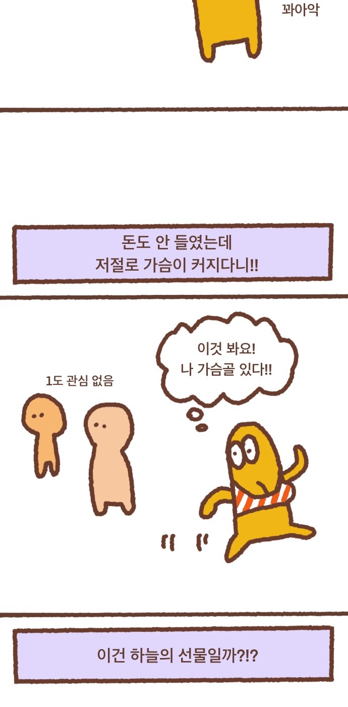 13 페이지