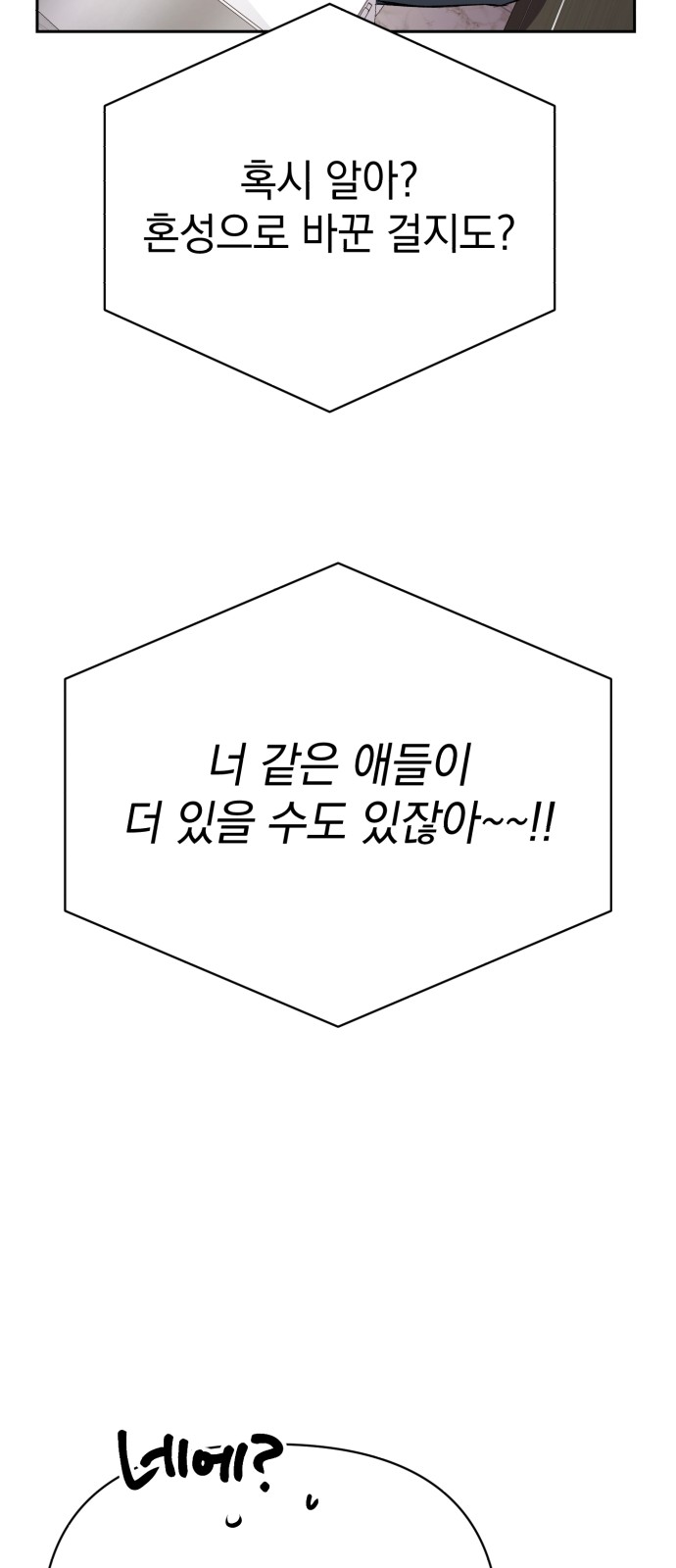 113 페이지