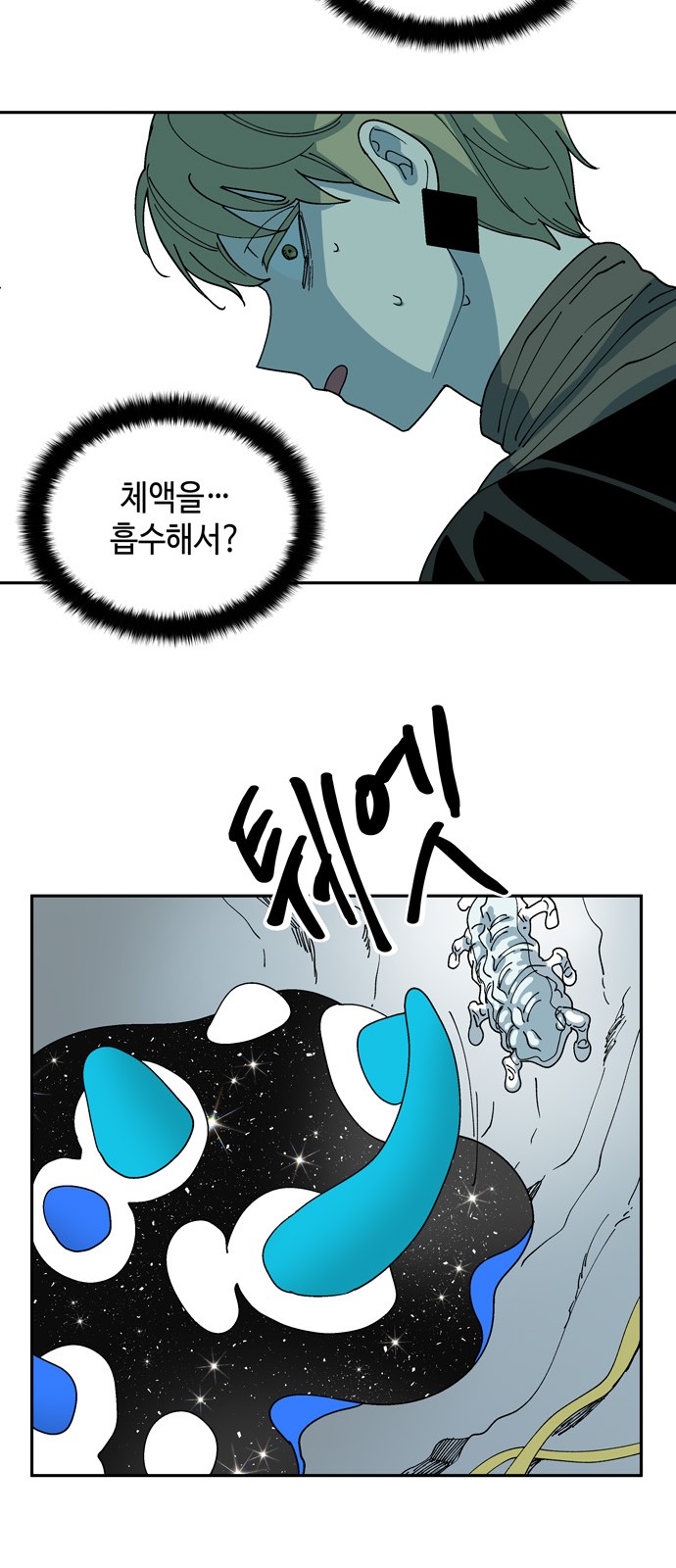 5 페이지