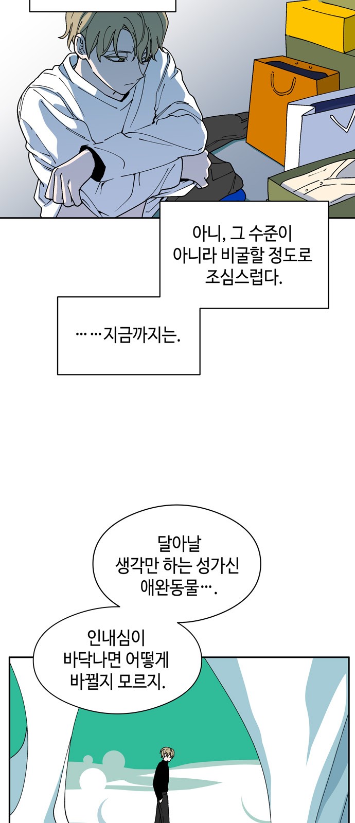 31 페이지