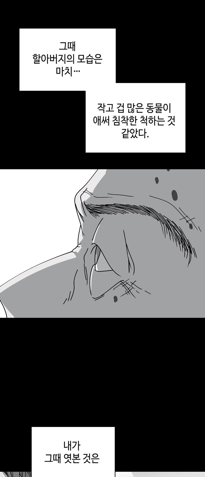 29 페이지