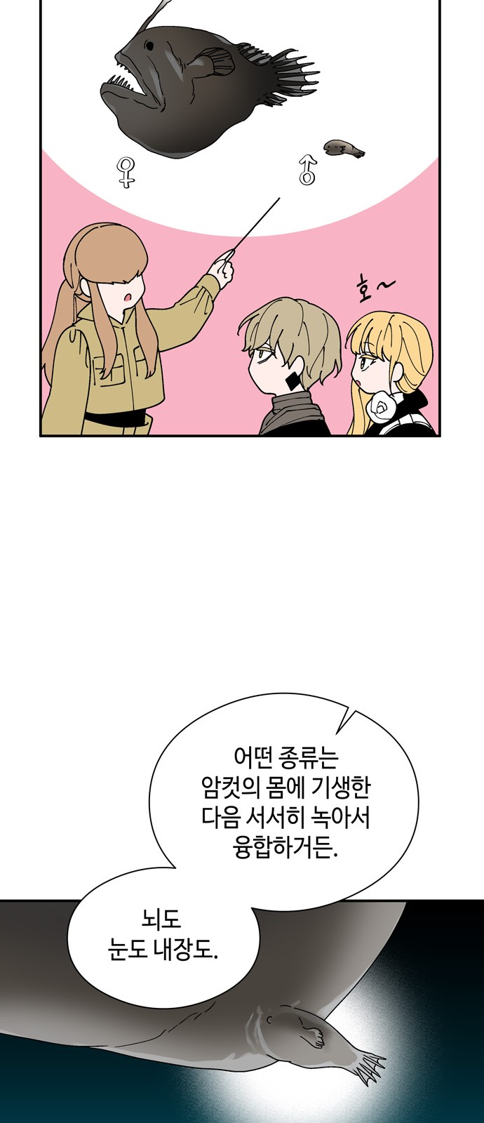 24 페이지