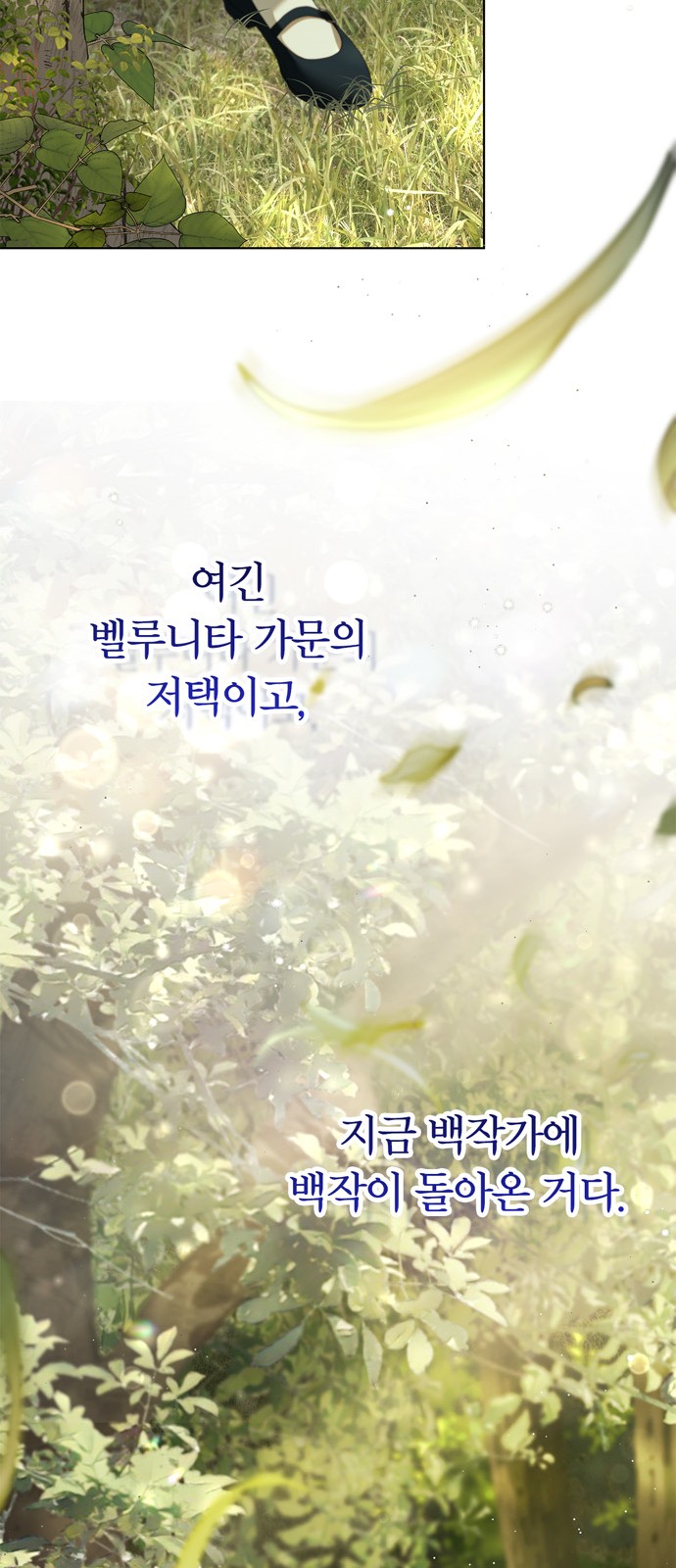 61 페이지