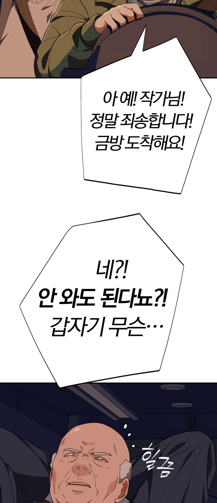 66 페이지