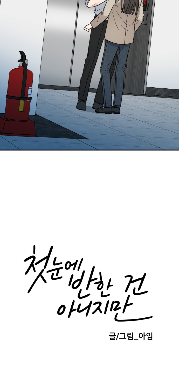 63 페이지