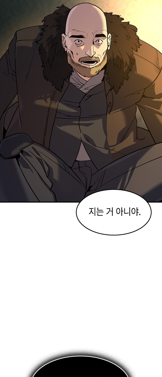 66 페이지