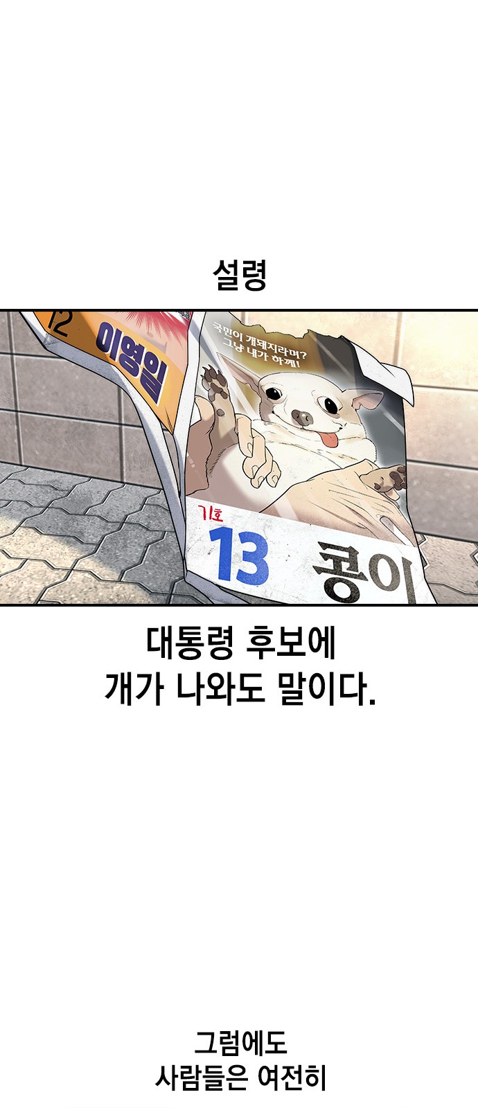 33 페이지