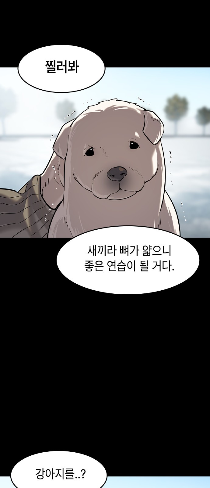 44 페이지