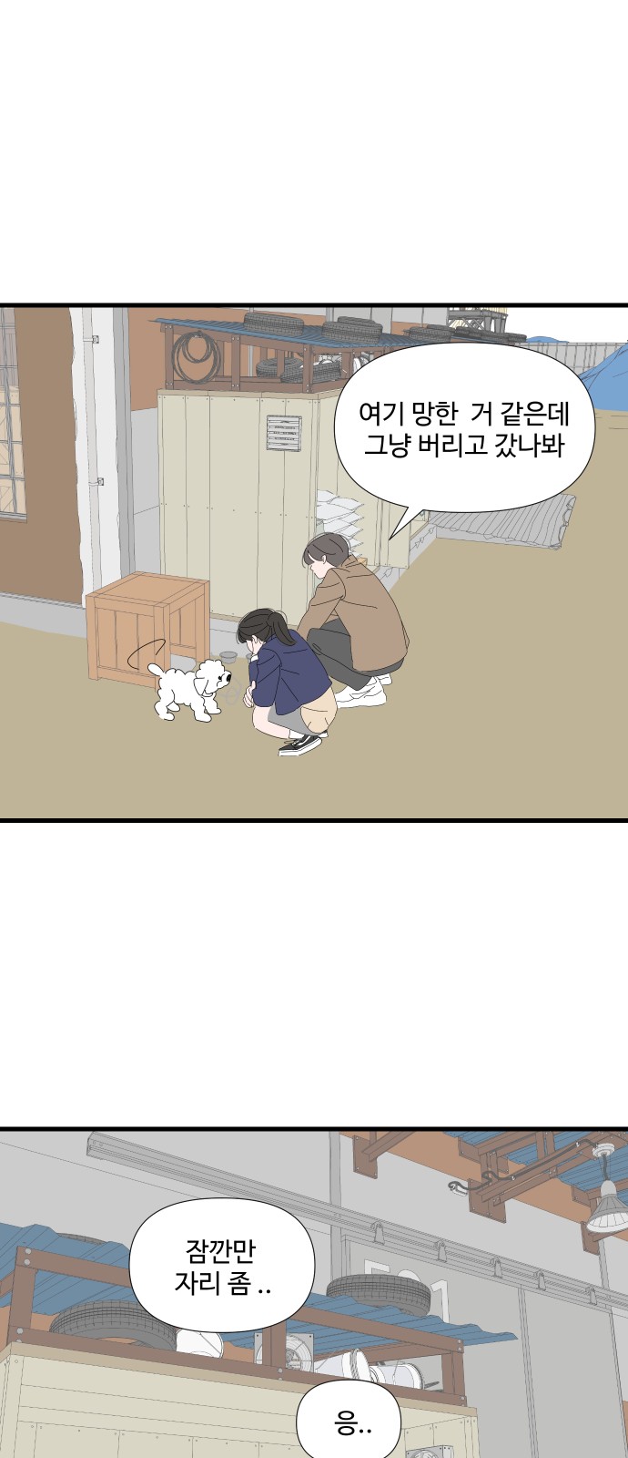 43 페이지