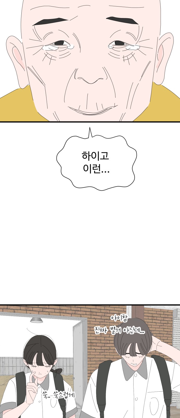 46 페이지