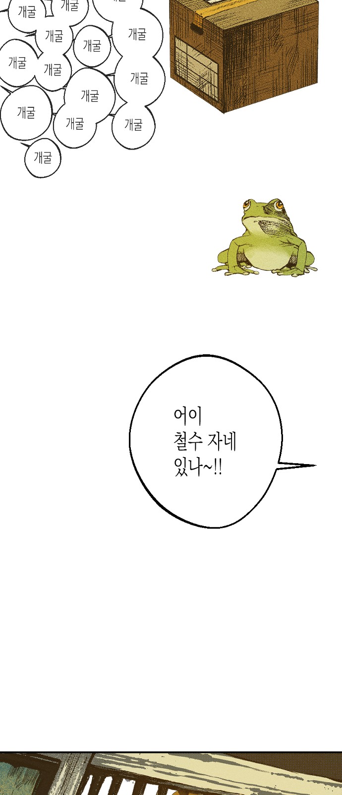42 페이지