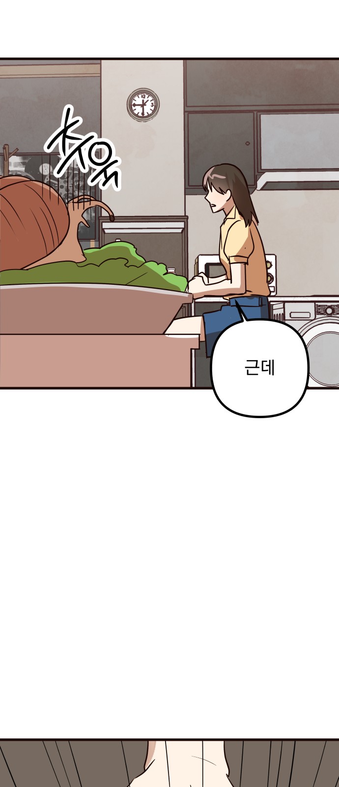 117 페이지