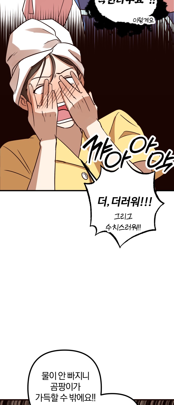 54 페이지