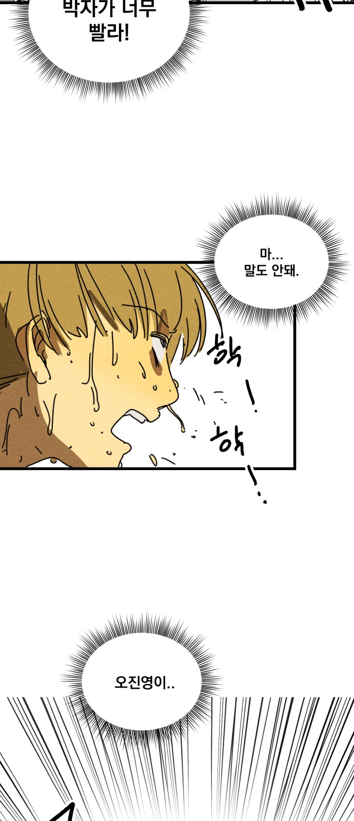 80 페이지