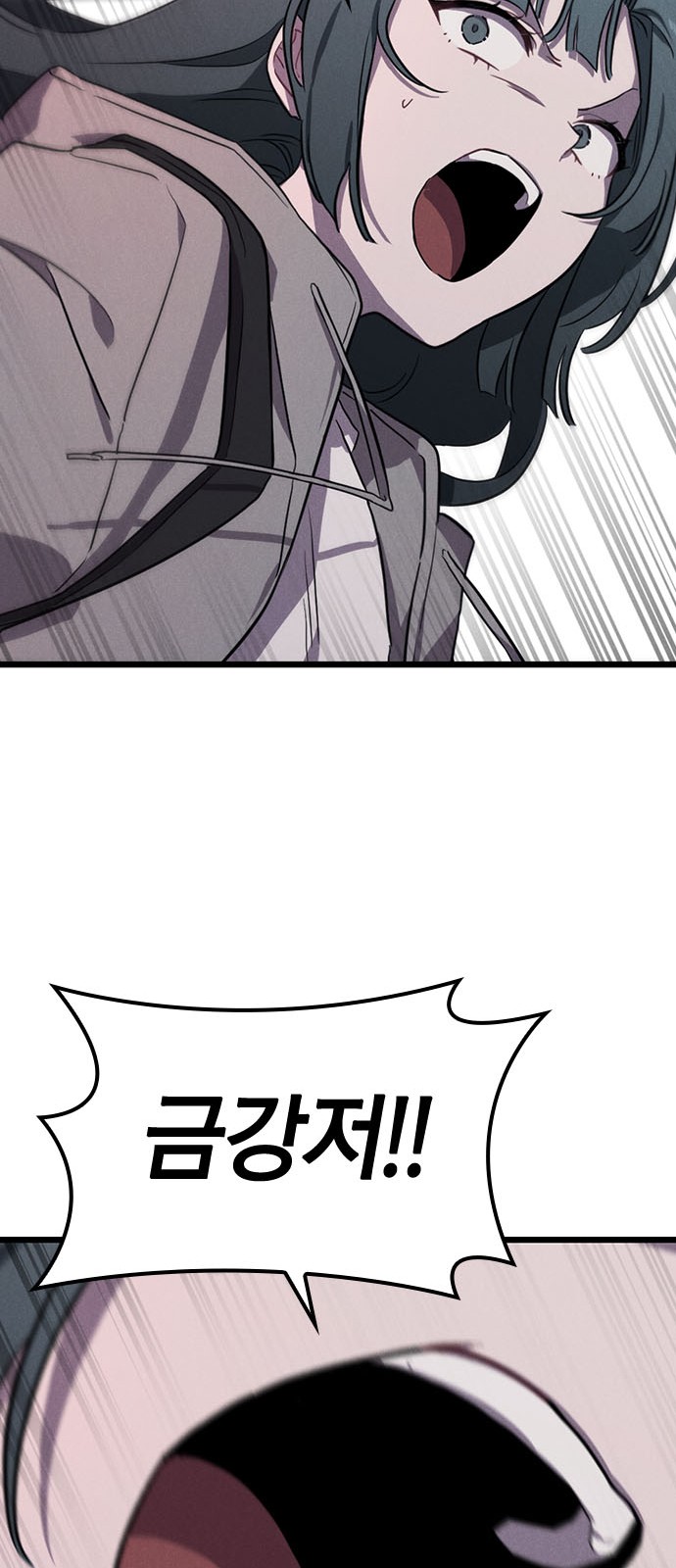 117 페이지