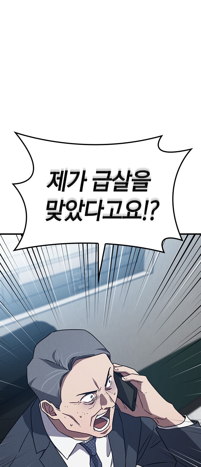 85 페이지