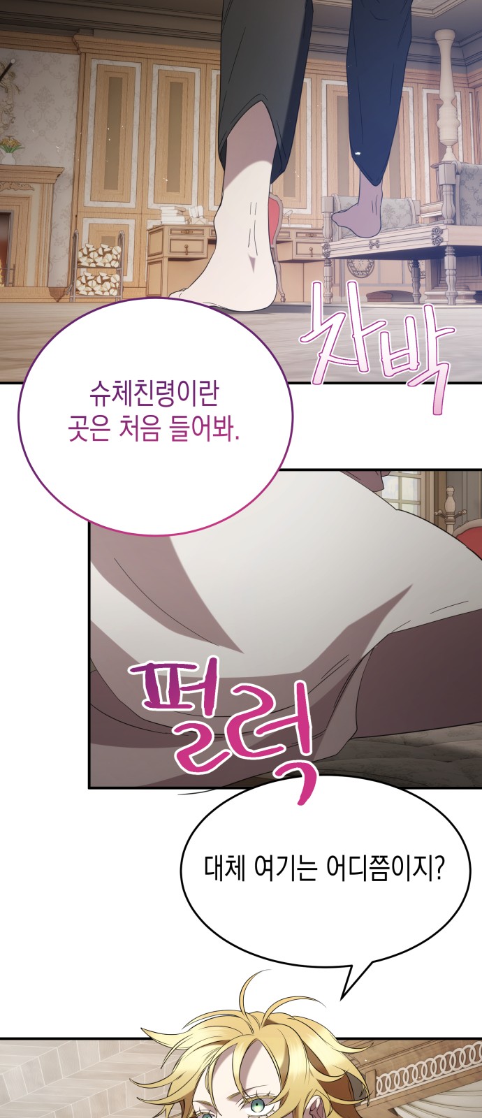 45 페이지