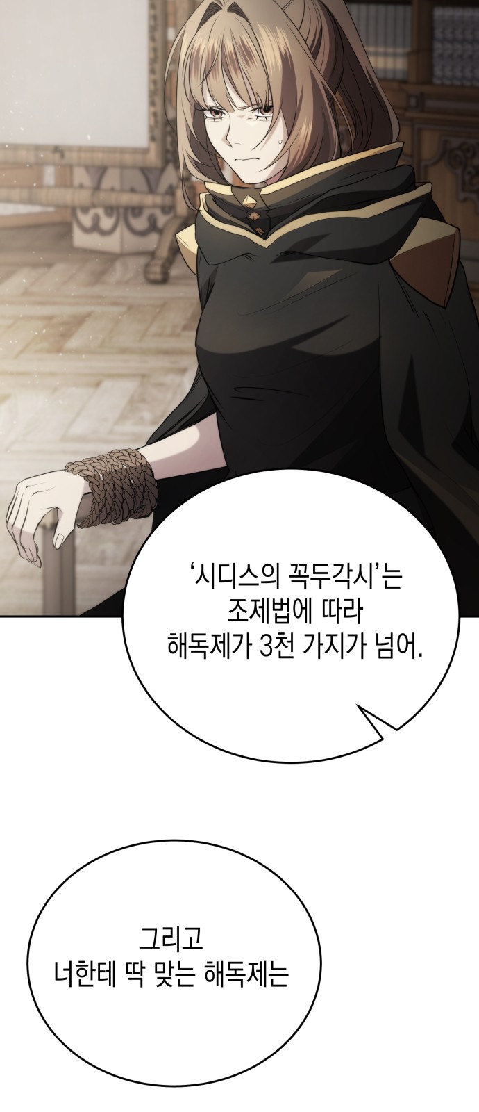 17 페이지