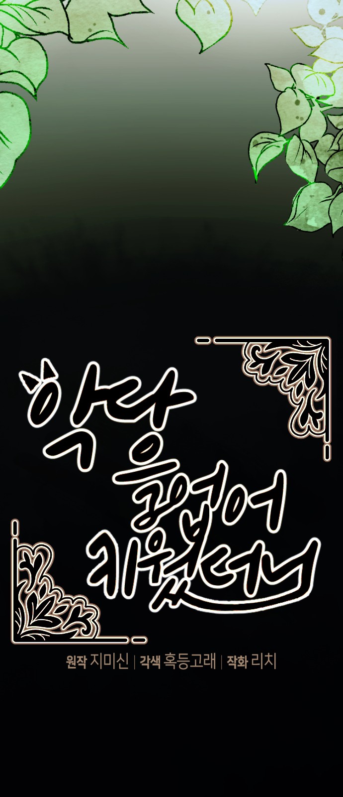 81 페이지