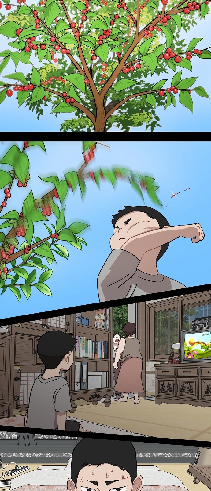 5 페이지