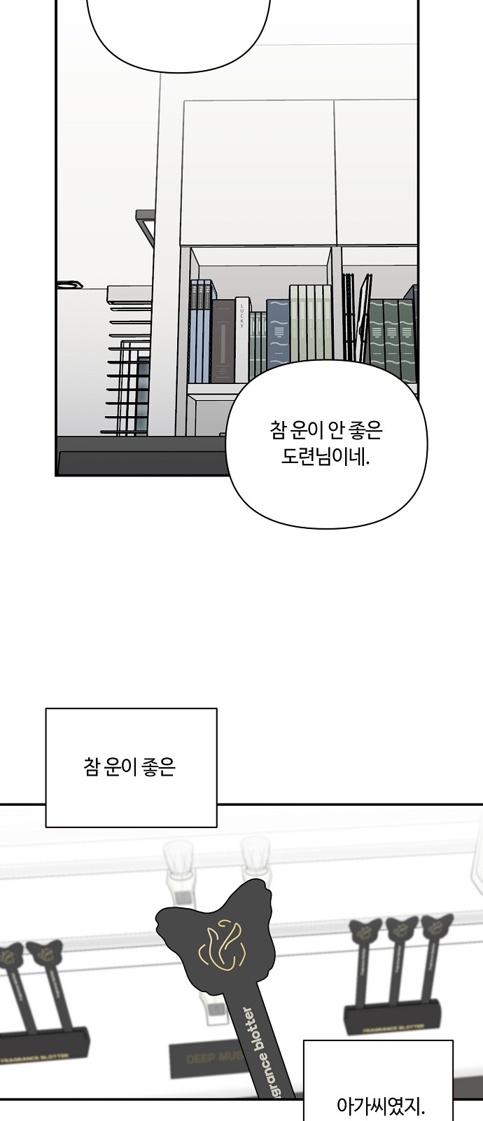 41 페이지