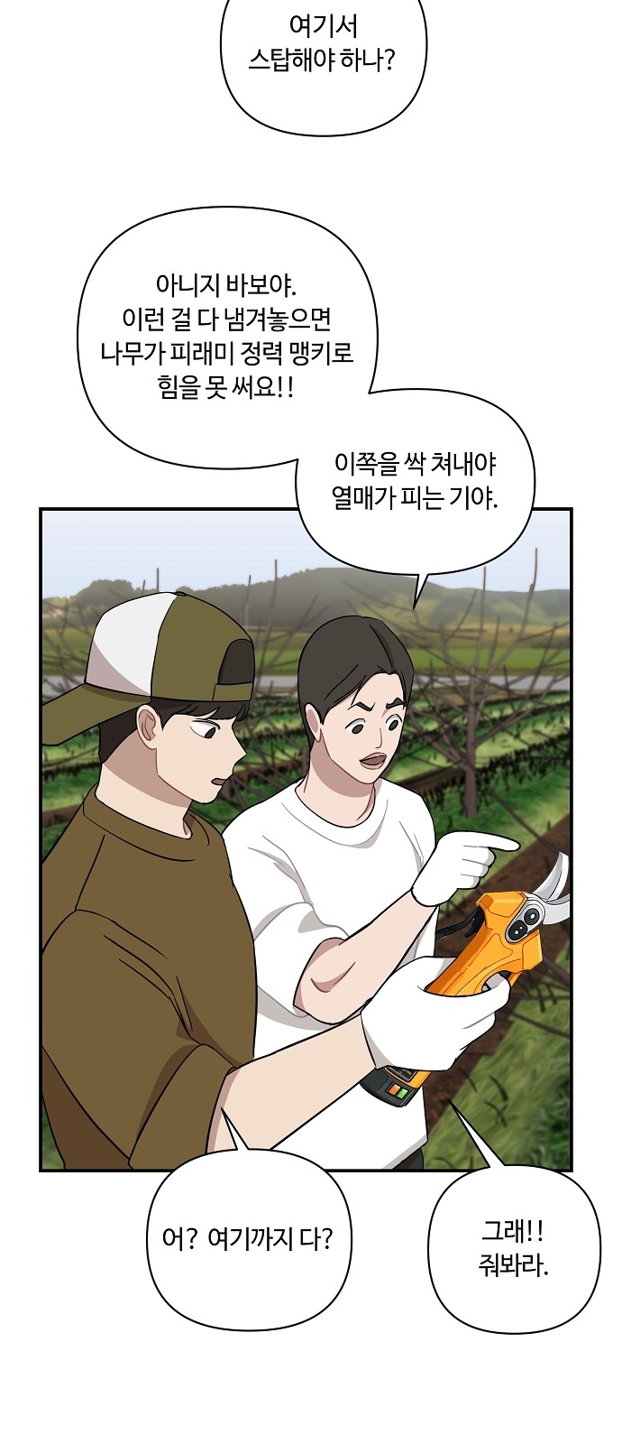 43 페이지