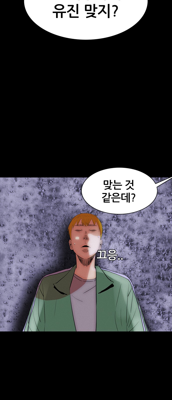 46 페이지