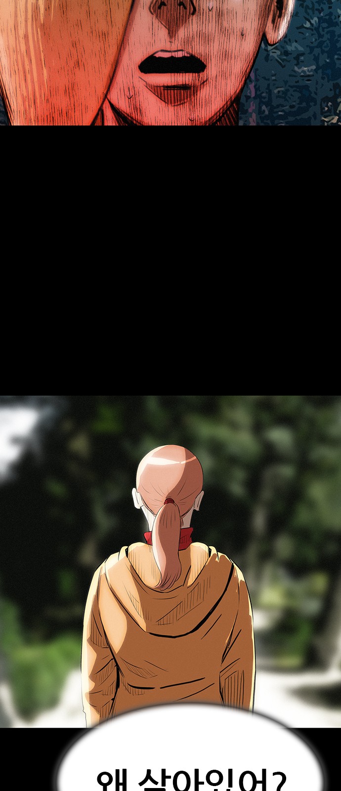 60 페이지