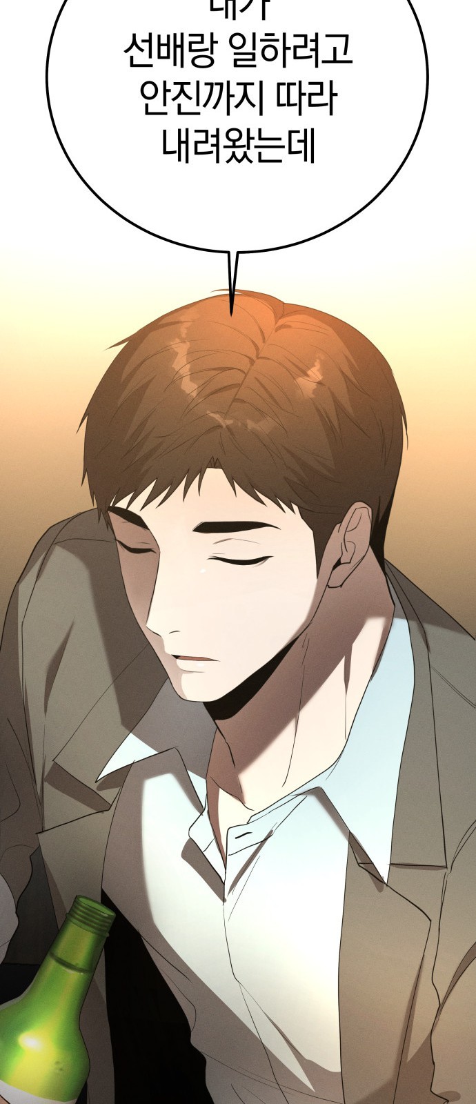54 페이지