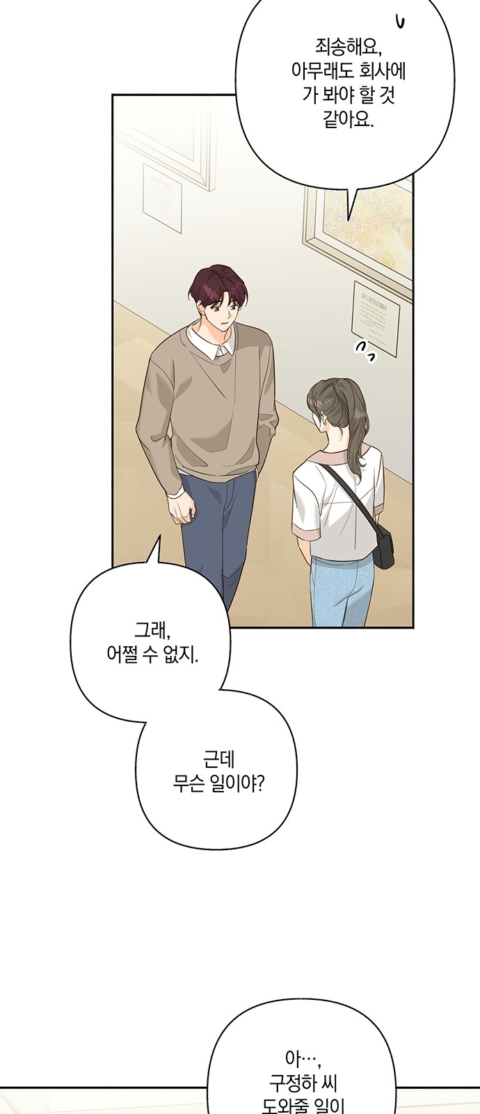 46 페이지