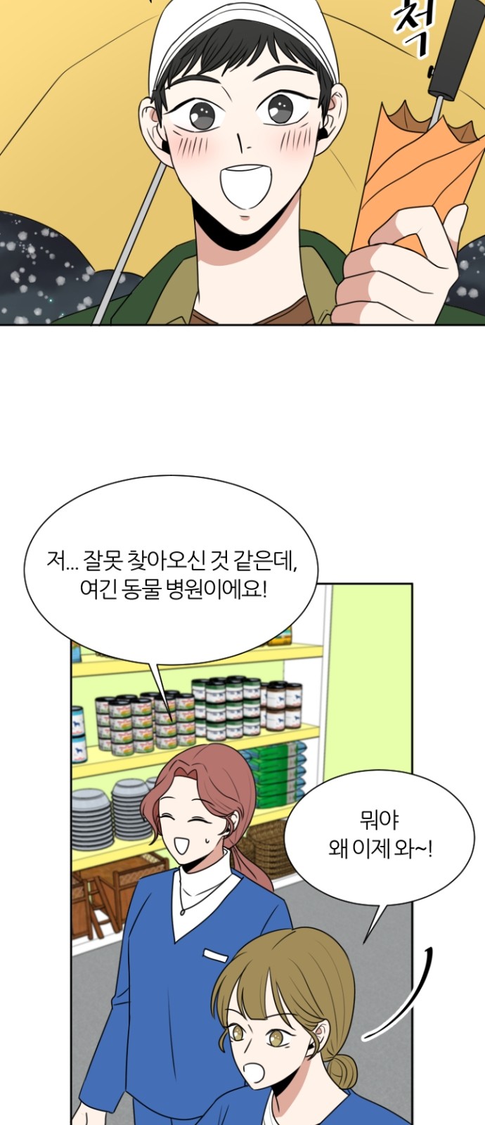 31 페이지