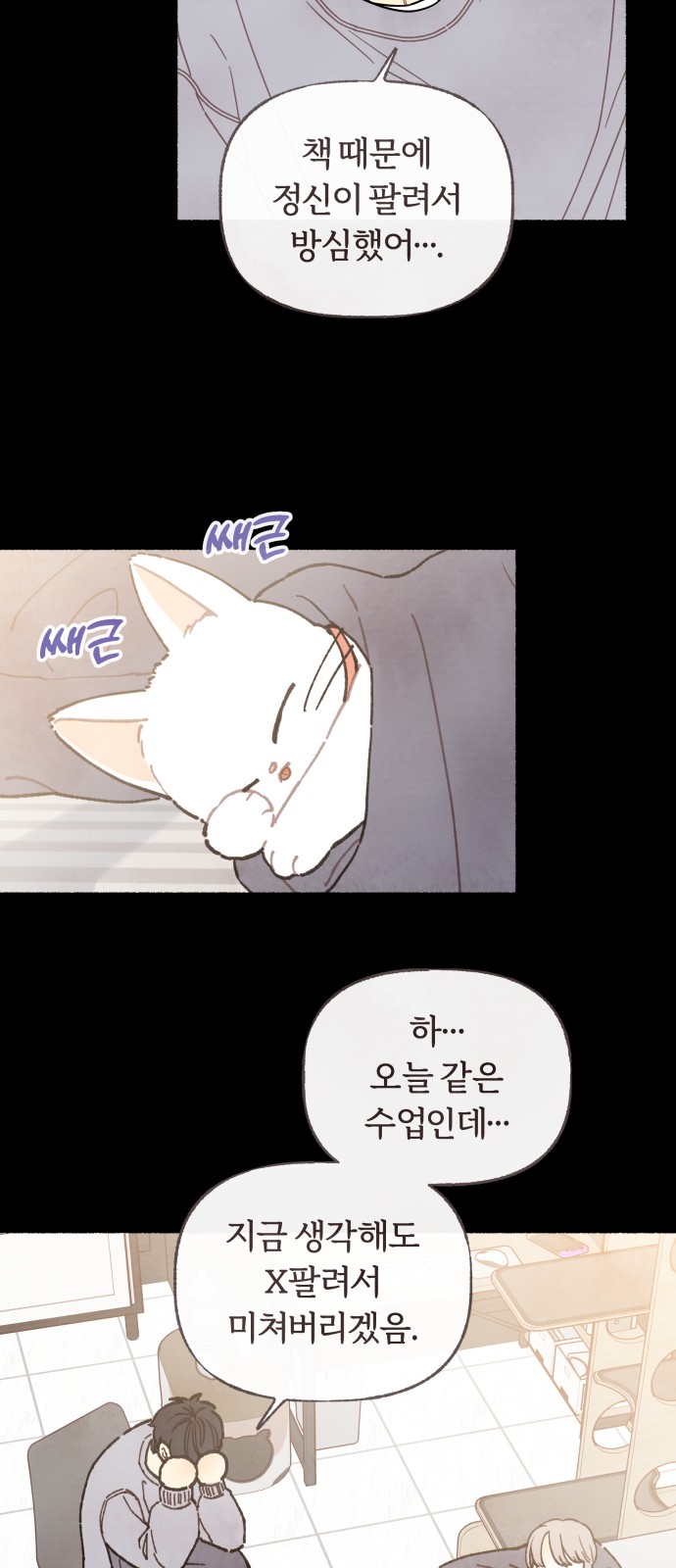 29 페이지