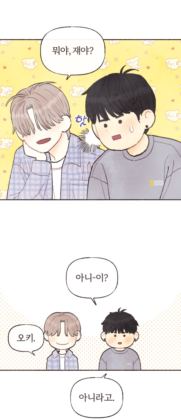 45 페이지