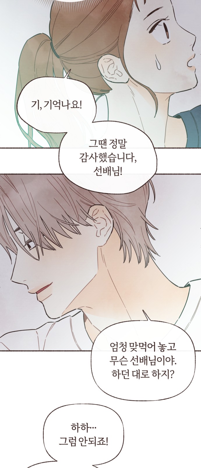 43 페이지
