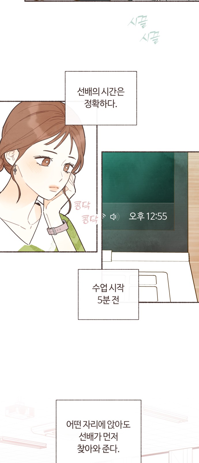 19 페이지