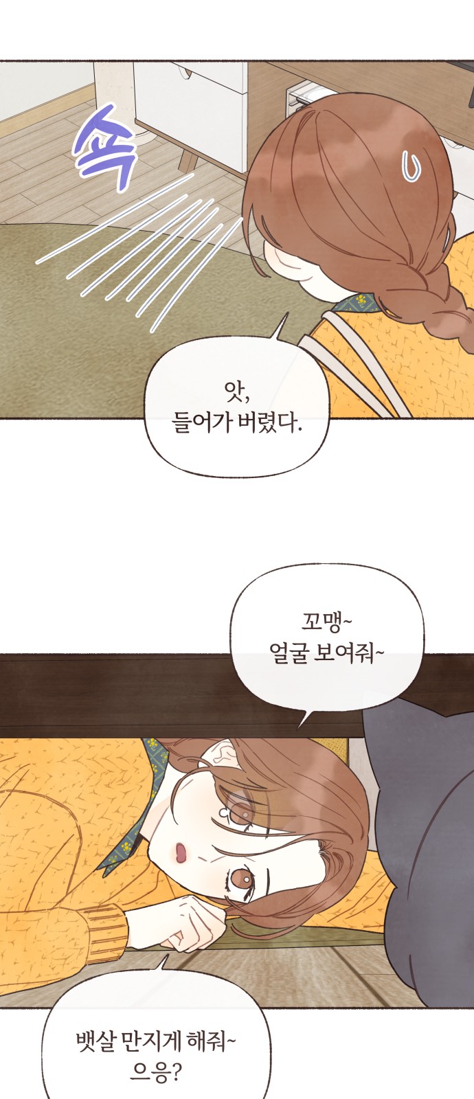 19 페이지
